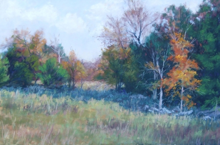 Colors of Palo Duro by artist Jeri Salter